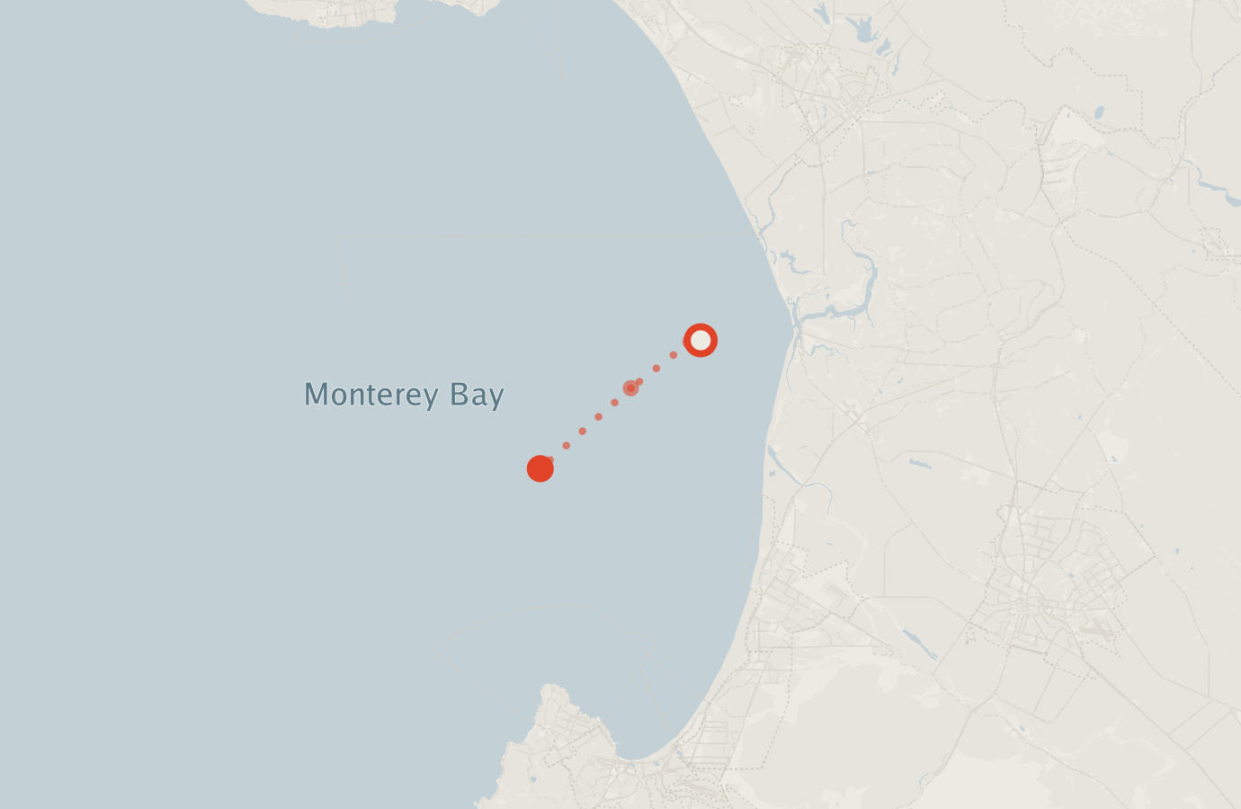 Activity map — real sighting points on an OpenStreetMap basemap