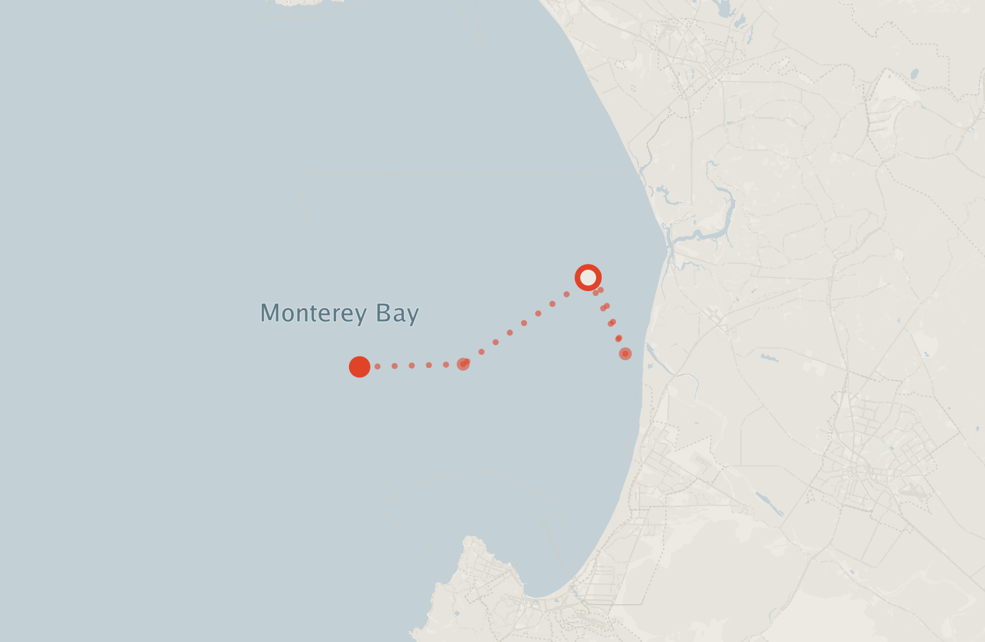 Activity map — real sighting points on an OpenStreetMap basemap