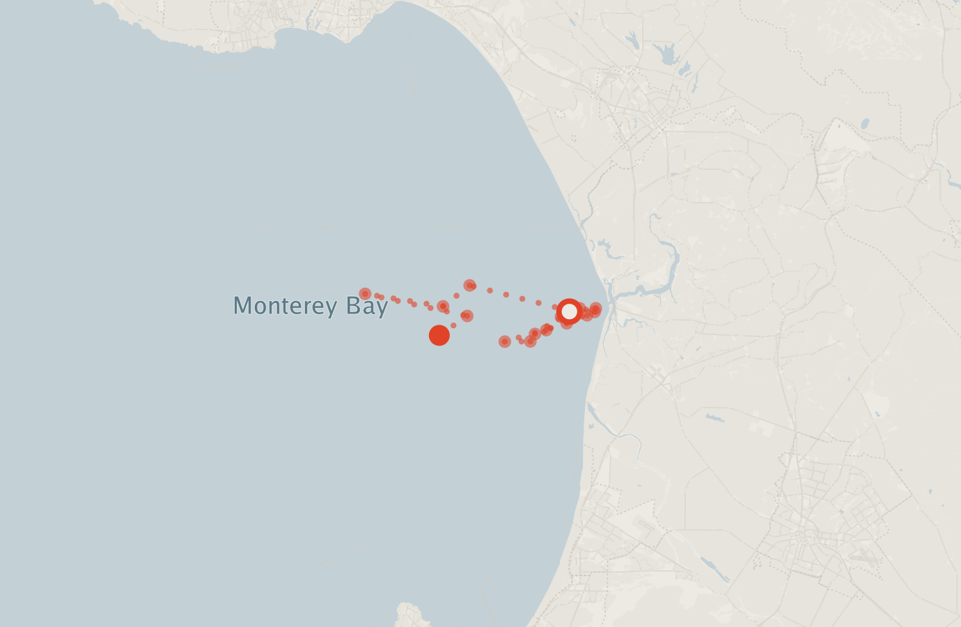 Activity map — real sighting points on an OpenStreetMap basemap
