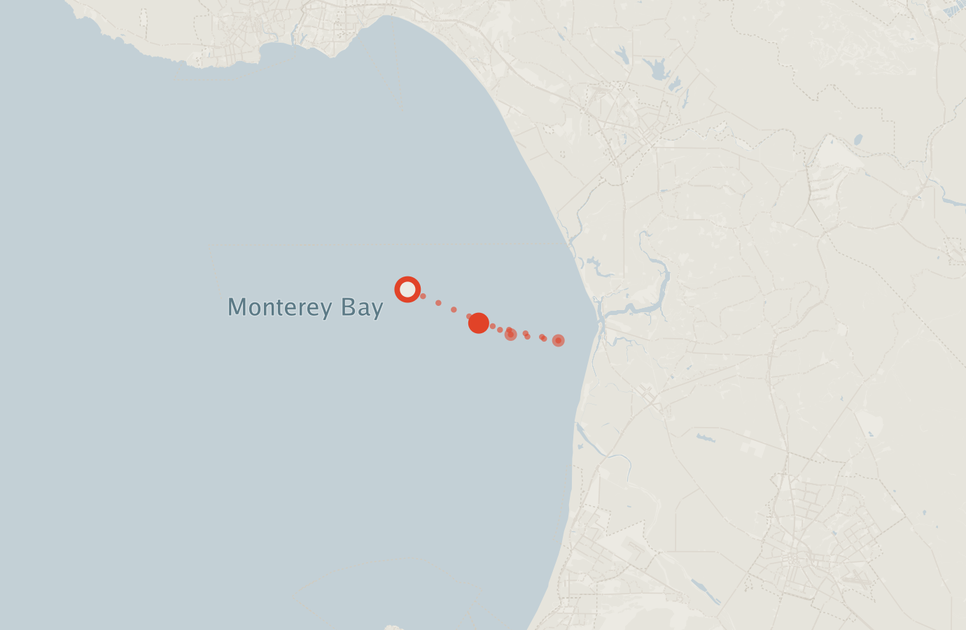 Activity map — real sighting points on an OpenStreetMap basemap