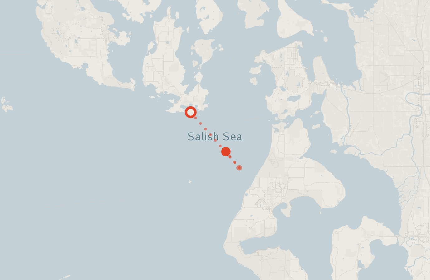 Activity map — real sighting points on an OpenStreetMap basemap