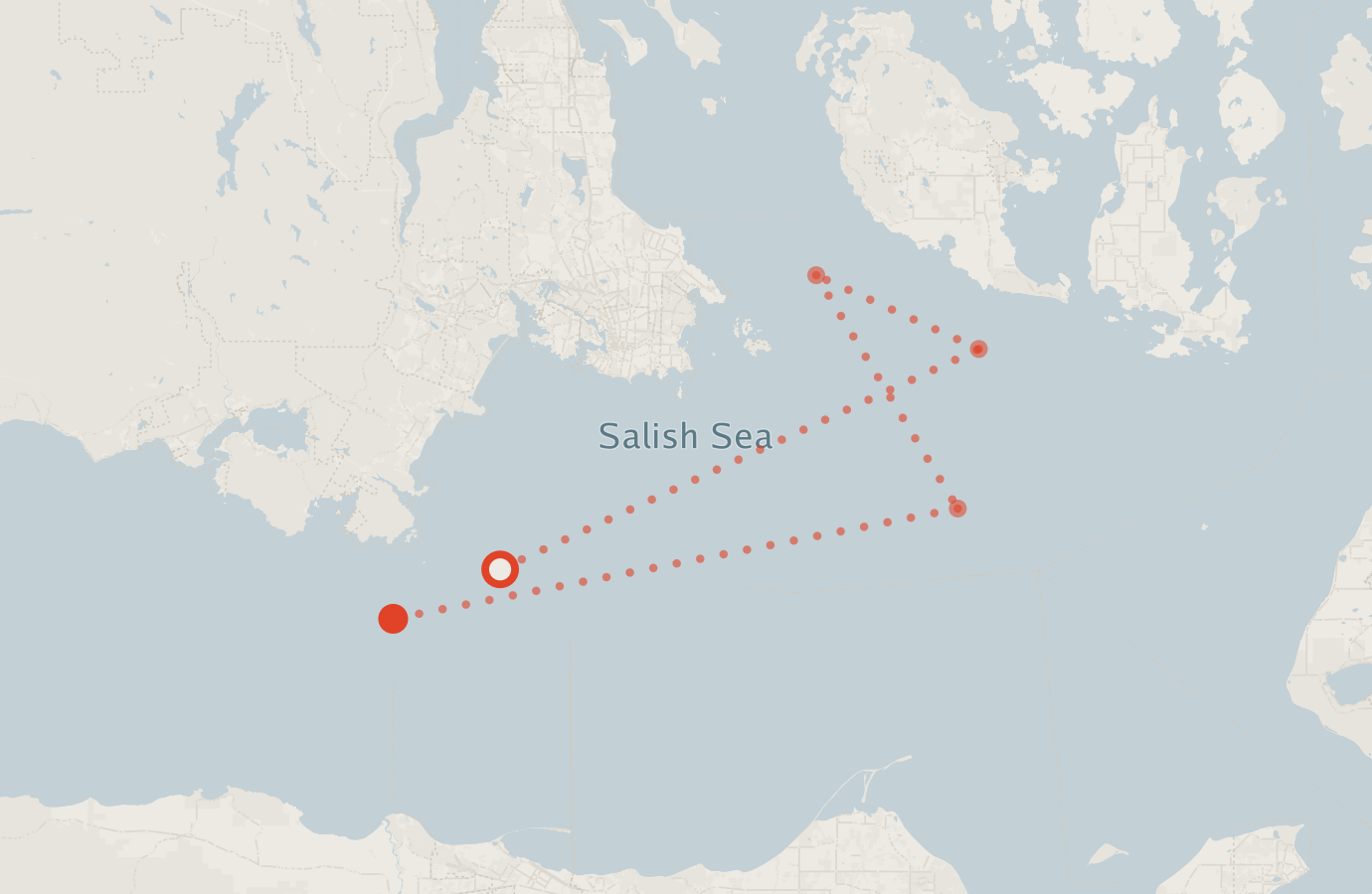 Activity map — real sighting points on an OpenStreetMap basemap