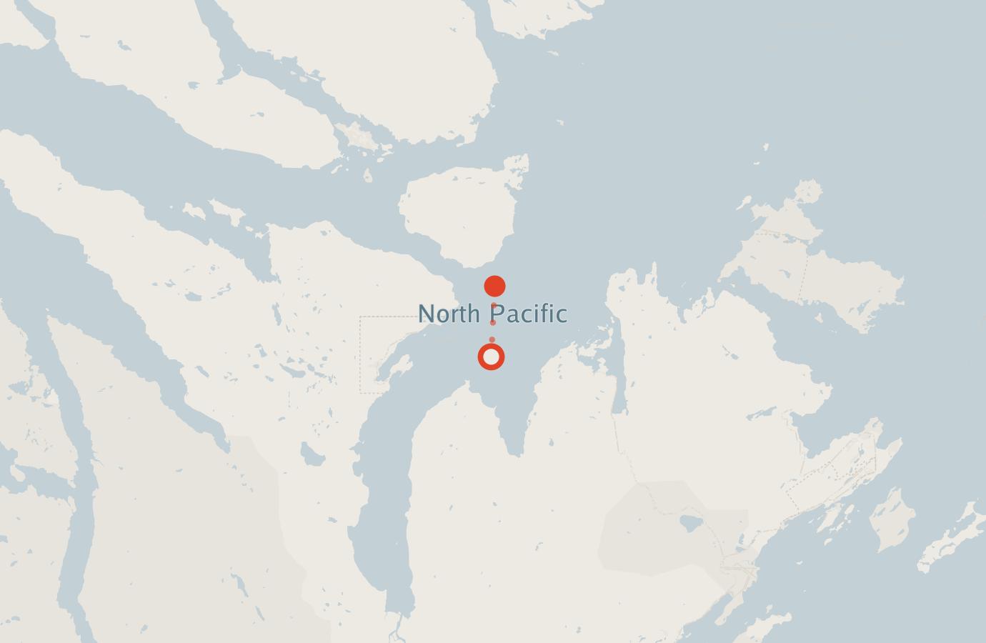Activity map — real sighting points on an OpenStreetMap basemap