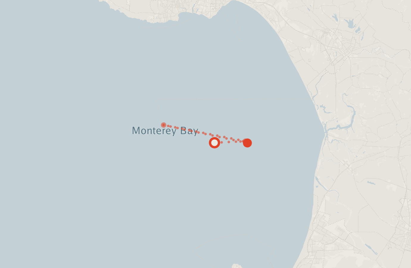Activity map — real sighting points on an OpenStreetMap basemap
