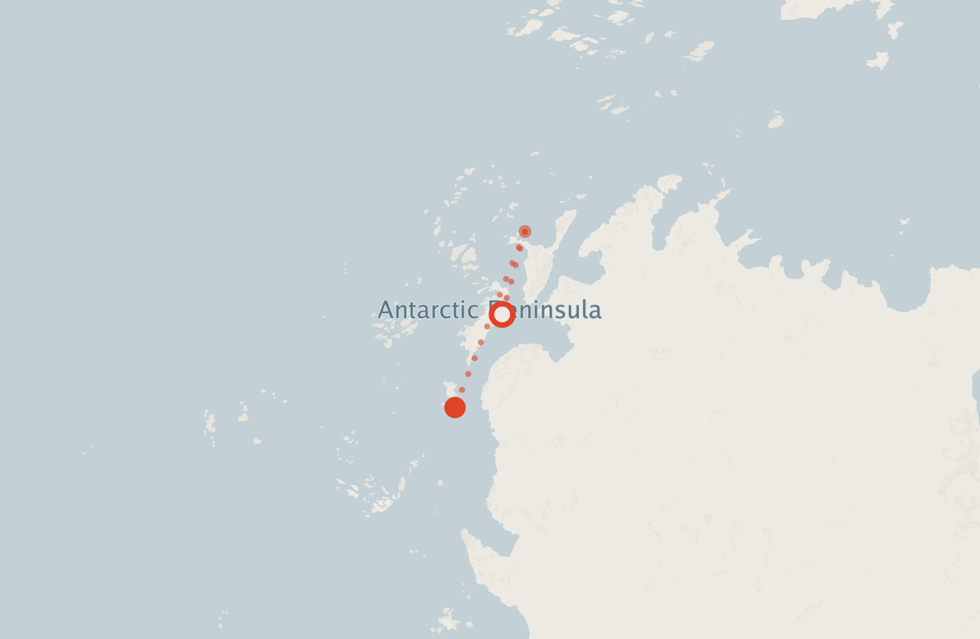 Activity map — real sighting points on an OpenStreetMap basemap
