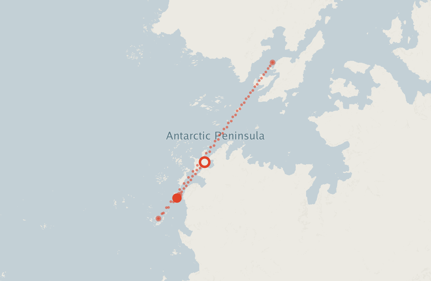 Activity map — real sighting points on an OpenStreetMap basemap