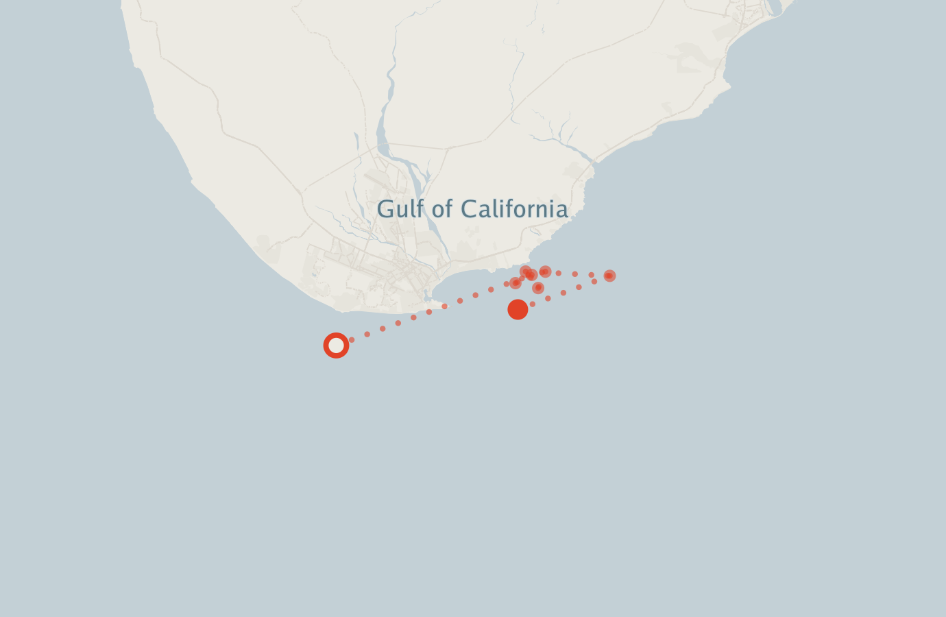 Activity map — real sighting points on an OpenStreetMap basemap