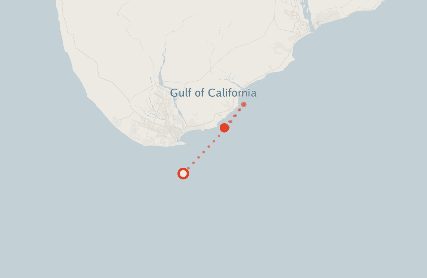 Activity map — real sighting points on an OpenStreetMap basemap