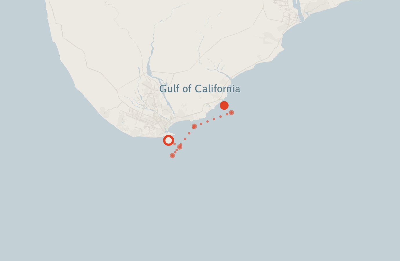 Activity map — real sighting points on an OpenStreetMap basemap