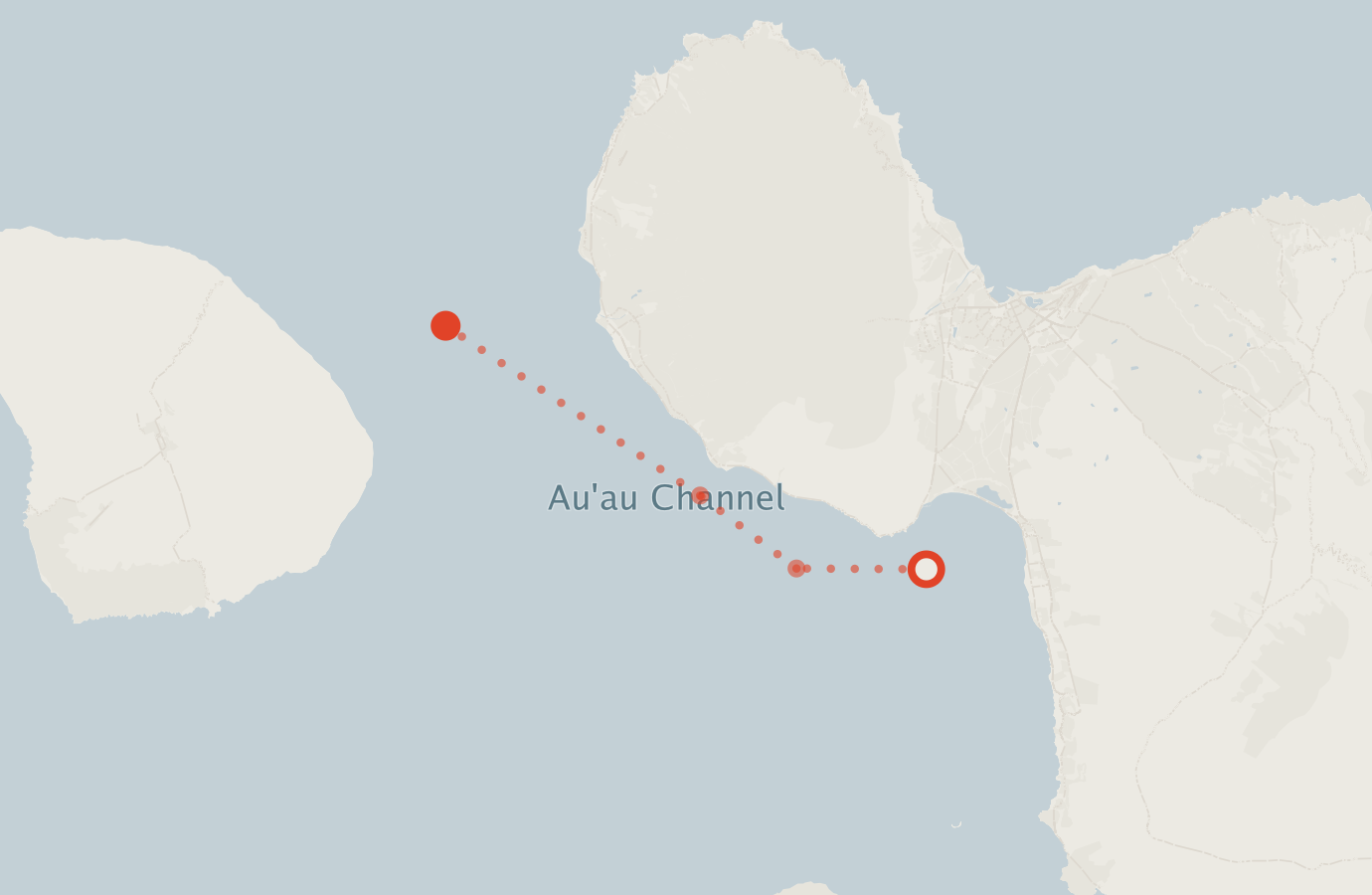 Activity map — real sighting points on an OpenStreetMap basemap