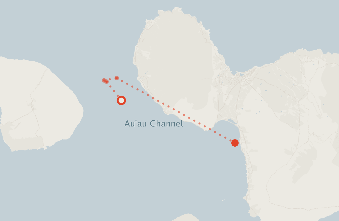 Activity map — real sighting points on an OpenStreetMap basemap