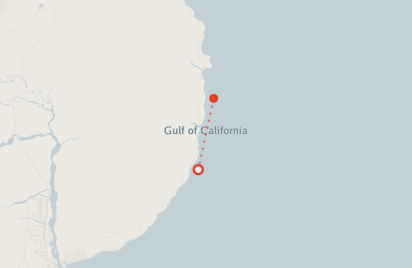 Activity map — real sighting points on an OpenStreetMap basemap