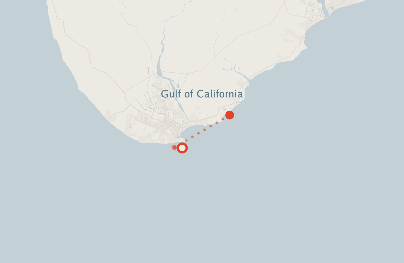 Activity map — real sighting points on an OpenStreetMap basemap