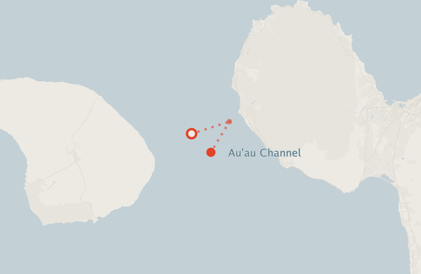 Activity map — real sighting points on an OpenStreetMap basemap