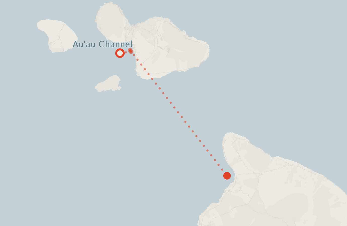Activity map — real sighting points on an OpenStreetMap basemap
