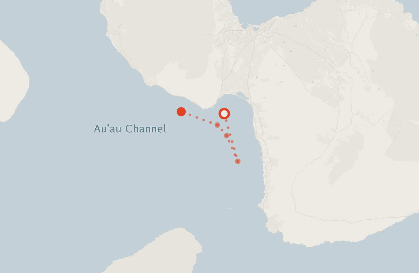 Activity map — real sighting points on an OpenStreetMap basemap
