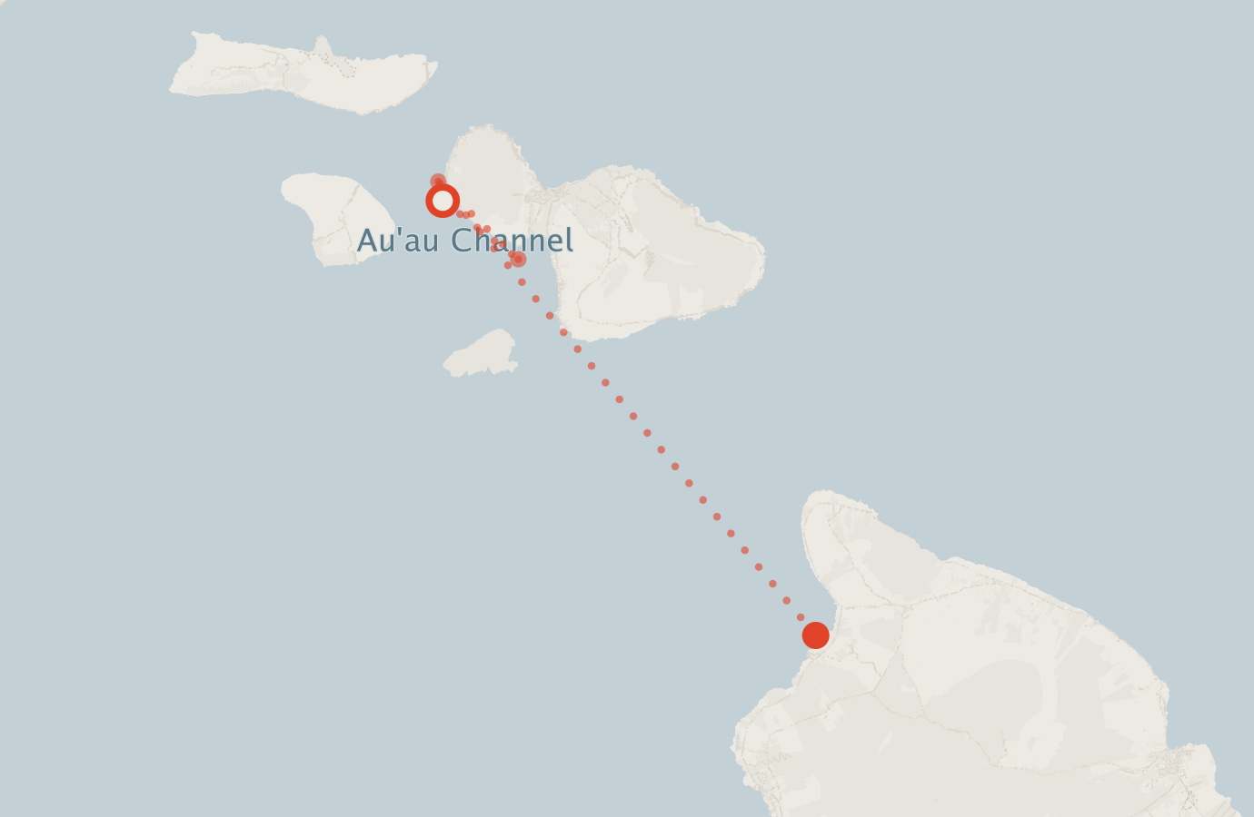 Activity map — real sighting points on an OpenStreetMap basemap