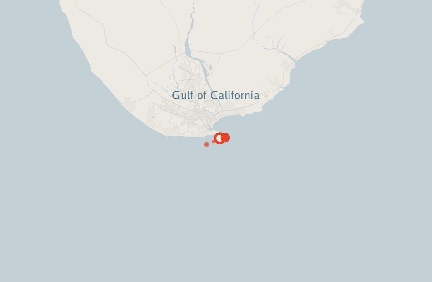 Activity map — real sighting points on an OpenStreetMap basemap