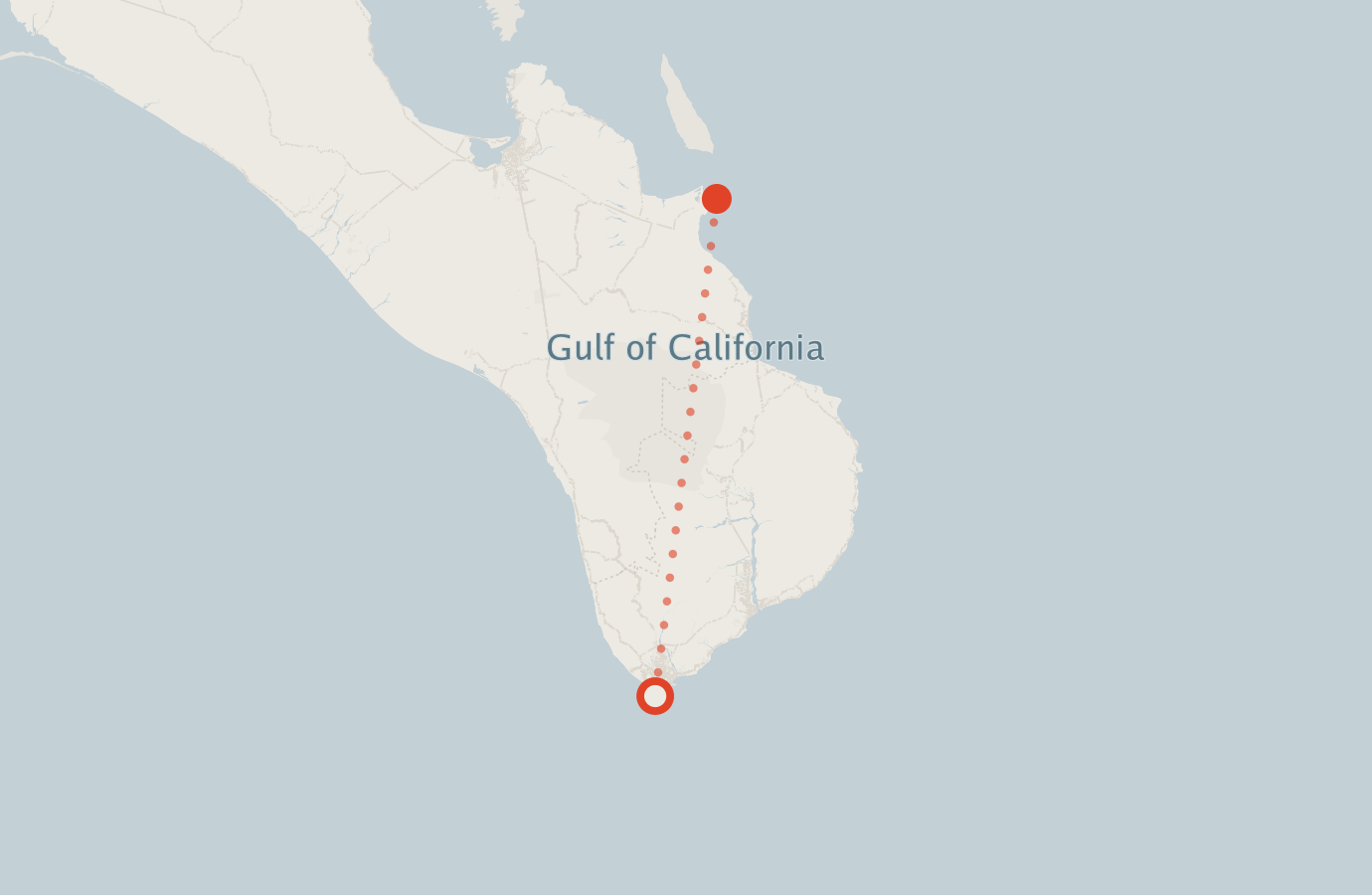 Activity map — real sighting points on an OpenStreetMap basemap