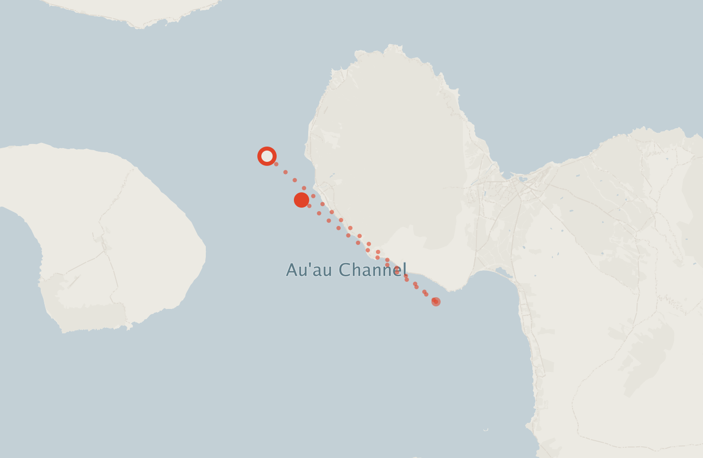 Activity map — real sighting points on an OpenStreetMap basemap
